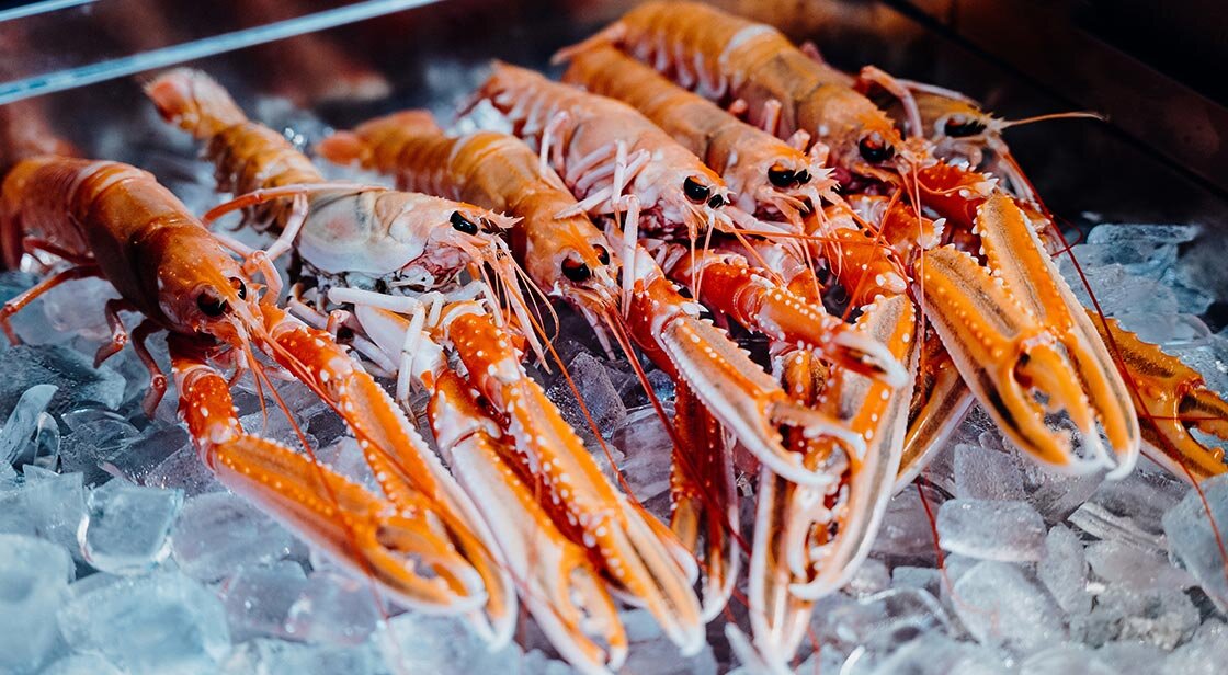 Lagosta da Noruega