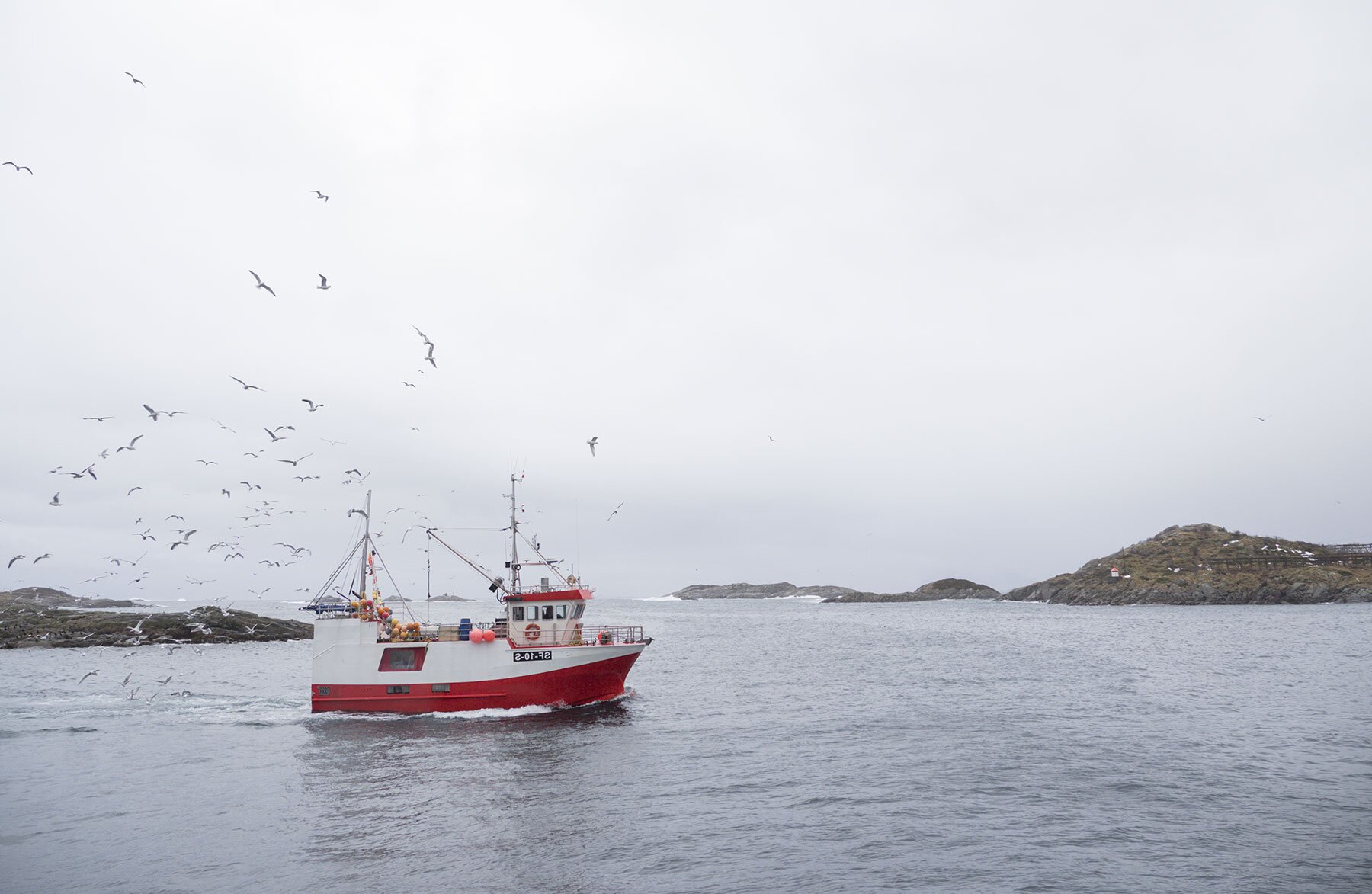 Barco saindo para o mar